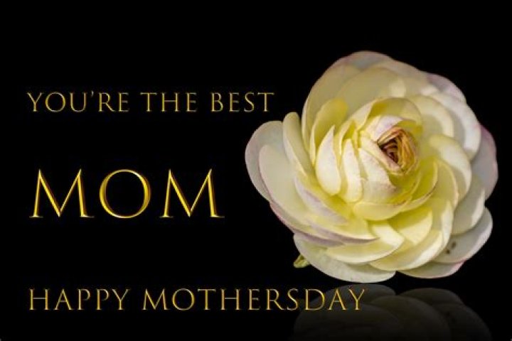 A Mother's Warmth: A Chapter of Nurturing Love