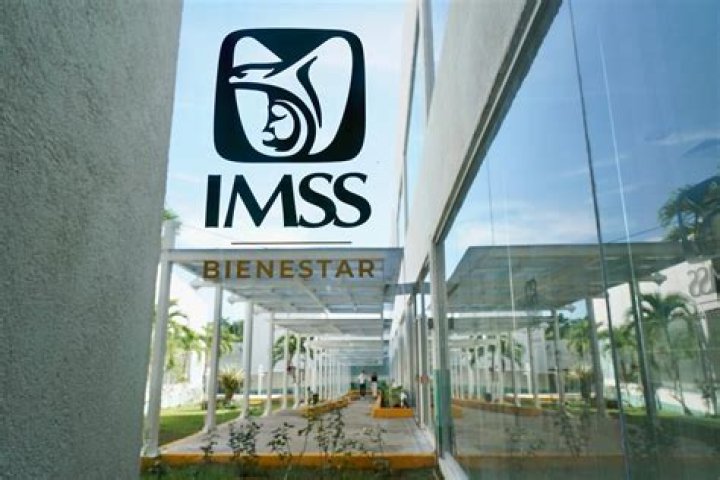 Best Desi IMMs - Top Desi IMMS Services
