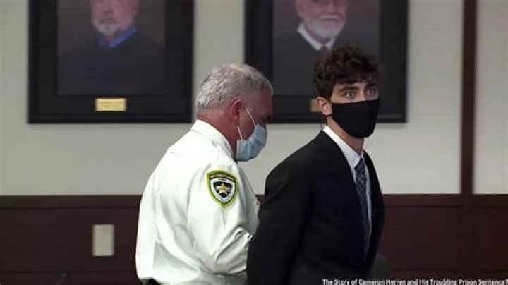 Cameron Herrin: The Tragic Hit-and-Run Case