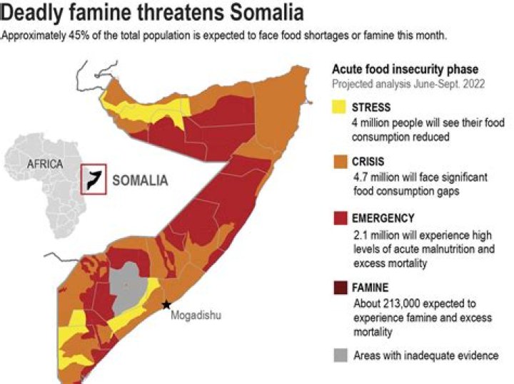 Diddy's Impact on Somalia: A Comprehensive Overview
