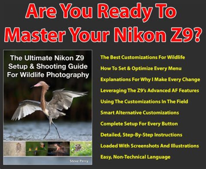 Discover Afton Smith: The Ultimate Guide for Wildlife Photography Enthusiasts