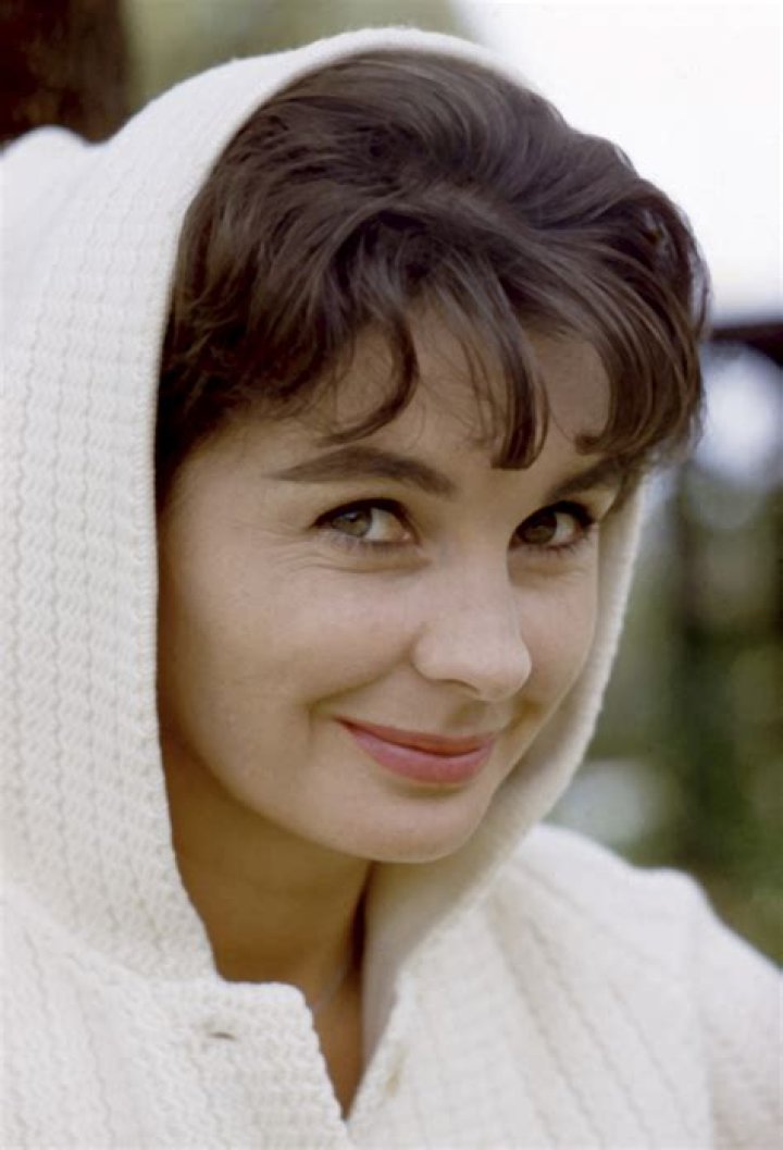 Discovering the Enigmatic Julia Winter: A Journey Through Her Life and Career