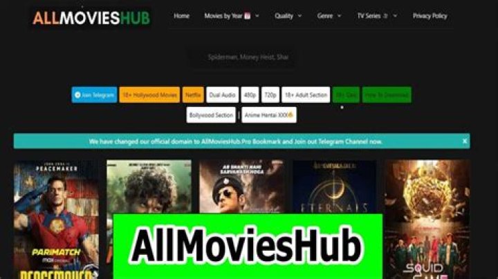 Exploring the AllMoviesHub Site: Your Gateway to Unlimited Entertainment