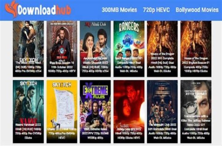 Exploring the World of HD Movies Hub 300MB: A Cinematic Adventure