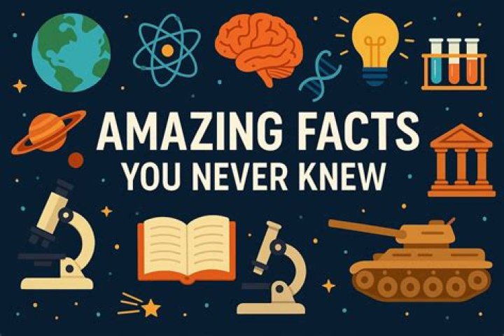 Fascinating Facts You Never Knew About Carey Lowell