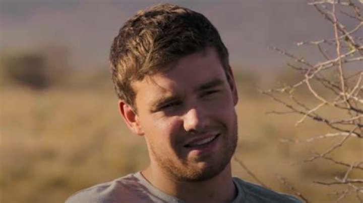 Graham Norton's Candid Interview with Liam Payne Uncovers Surprising Revelations