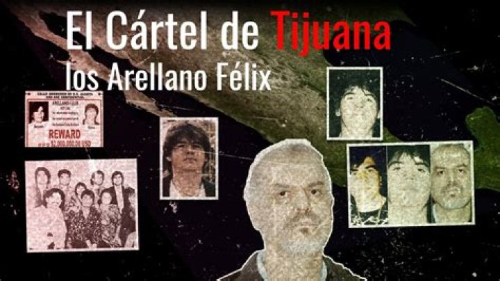 The Enigmatic Enedina Arellano Flix: The Matriarch of the Tijuana Cartel