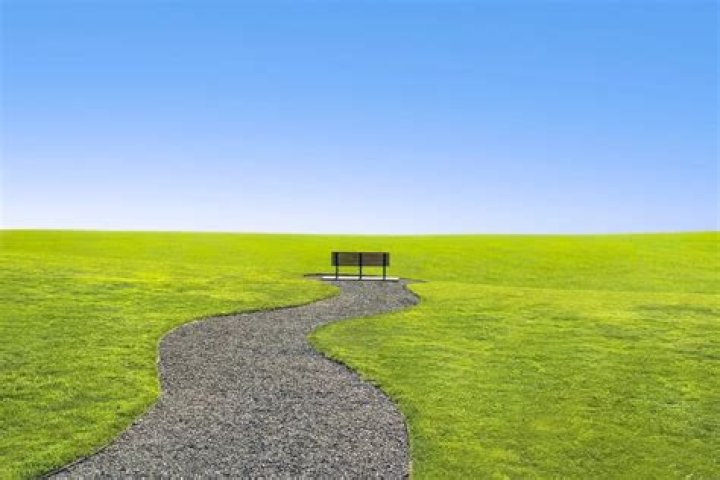 The Fascinating World of the Mollymoon Nun Video