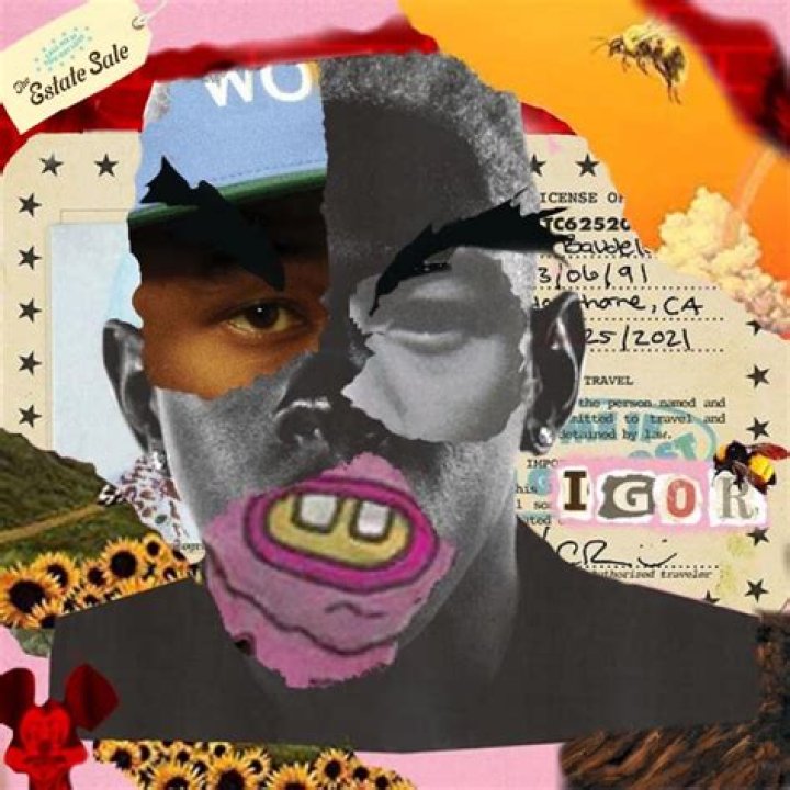 The Hidden Truth Behind Tyler, the Creator's Sister
