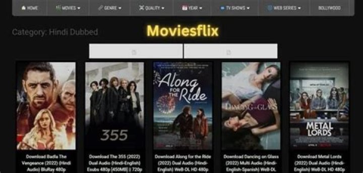 The Ultimate Guide to Streaming with themoviesflix.in