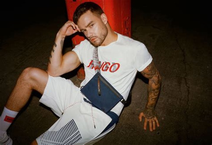 Ultimate Guide to Hugo Liam Payne's Life and Career