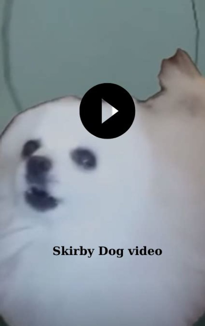Unleashing Joy: The Skirby Dog Video Phenomenon
