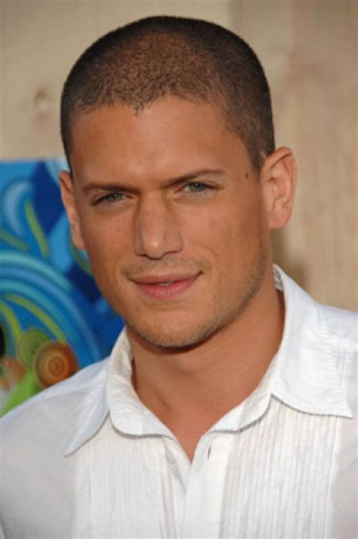 Unveiling the Charismatic Journey of Wentworth Miller