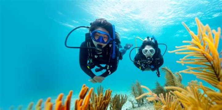 Unveiling the Controversy: The Scuba Steph Leak