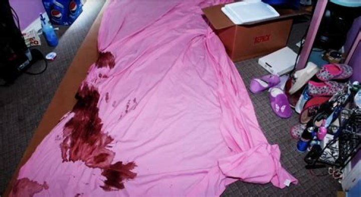 Unveiling the Mystery: Gypsy Rose's Mum Crime Scene Photos