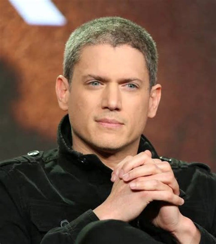Unveiling Wentworth Miller's Partner: The Man Behind the Star