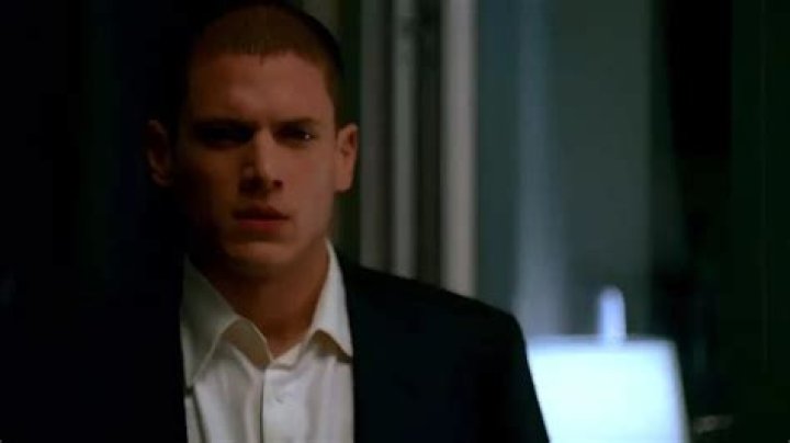 Wentworth Miller's Partner: Spotlight on [Partner's Name]