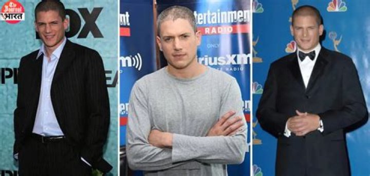 Wentworth Miller's Spouse: Uncovering the Details