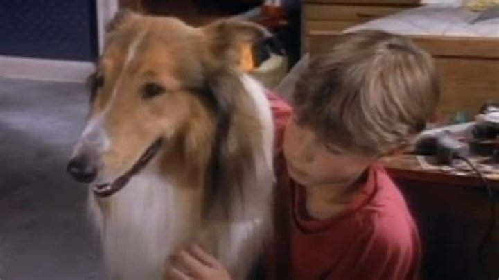 Will Estes' Journey from Child Actor to Television Star